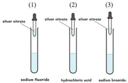 Thực hiện thí nghiệm cho từ từ vài giọt dung dịch silver nitrate vào từng ống nghiệm như hình vẽ: (ảnh 1)