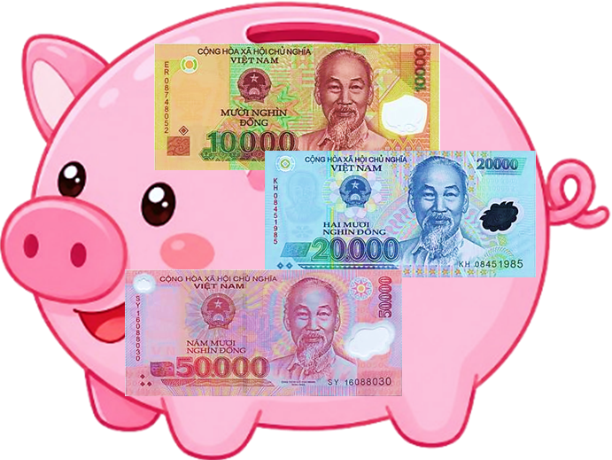 Chú lợn đất bên đựng được bao nhiêu tiền? (ảnh 1)