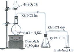 Trong phòng thí nghiệm, một lượng nhỏ hydrogen chloride có thể được điều chế bằng phản ứng trực tiếp giữa dung dịch sodium chloride và dung dịch sulfuric acid đặc như hình dưới: (ảnh 1)
