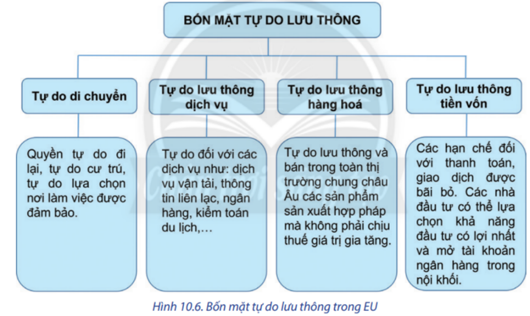 Tự do lưu thông dịch vụ trong EU không bao gồm tự do đối với các dịch vụ (ảnh 1)