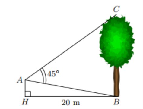 Đ&aacute;p &aacute;n cần chọn l&agrave;: A (ảnh 1)