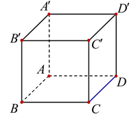 Cho lập phương ABCD.A'B'C'D' (h&igrave;nh minh họa).   Khẳng định n&agrave;o sau đ&acirc;y đ&uacute;ng? (ảnh 1)