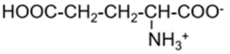 Giá trị pH mà khi đó amino acid có nồng độ ion lưỡng cực là cực đại được gọi là điểm đẳng điện (kí hiệu là pI). Khi pH < pI thì amino acid đó tồn tại chủ yếu ở dạng cation (ảnh 6)