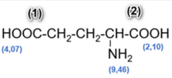 Giá trị pH mà khi đó amino acid có nồng độ ion lưỡng cực là cực đại được gọi là điểm đẳng điện (kí hiệu là pI). Khi pH < pI thì amino acid đó tồn tại chủ yếu ở dạng cation (ảnh 2)