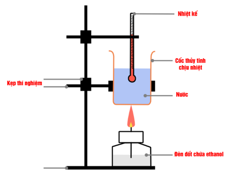 Để tiến hành đo enthalpy chuẩn của phản ứng đốt cháy ethanol thì người ta lắp dụng cụ thí nghiệm nhiệt lượng kế như sau: Bước 1. Lặp bộ dung cụ như hình vẽ bên. (ảnh 1)