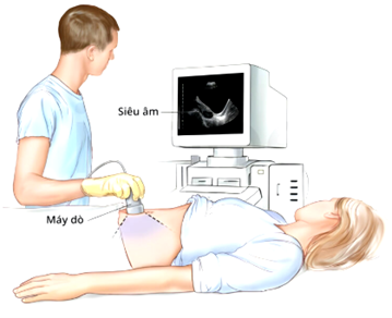 Để sàng lọc bệnh trong bước đầu chẩn đoán của các Bác sĩ, họ thường sử dụng kỹ thuật không xâm lấn. Hình bên là một trong những phương pháp không xâm lấn đó. Hãy cho biết bức xạ điện từ nào được sử dụng trong phương pháp đó (ảnh 1)