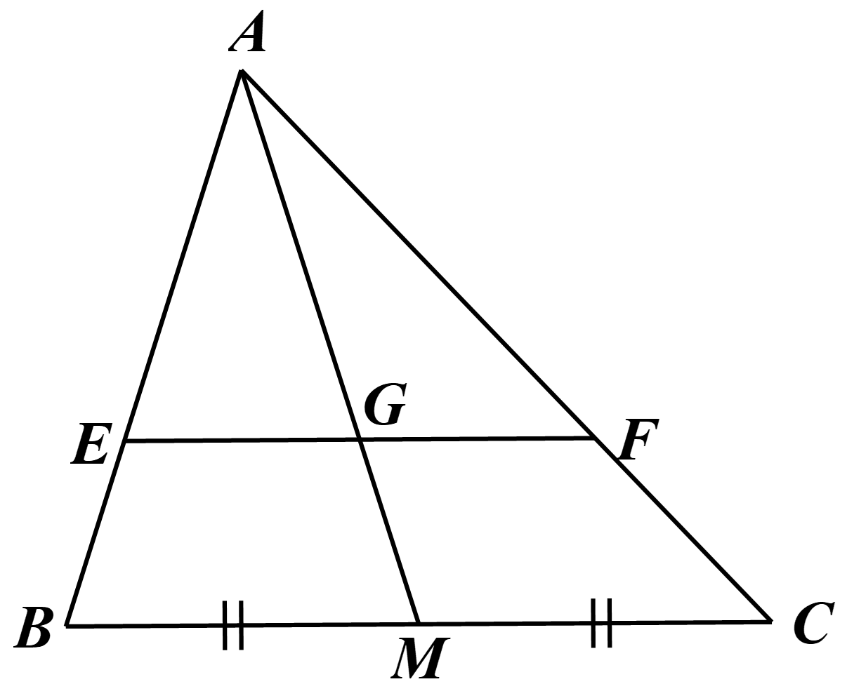 Do đ&oacute; \(\frac{{BM}}{{AB}} = \frac{1}{4}\) n (ảnh 1)
