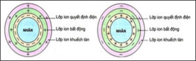 Vẽ và chú thích sơ đồ cấu tạo keo đất? (ảnh 1)