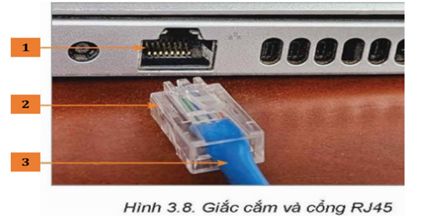 Xem hình 3.8 bên dưới và chọn câu trả lời đúng nhất. (ảnh 1)