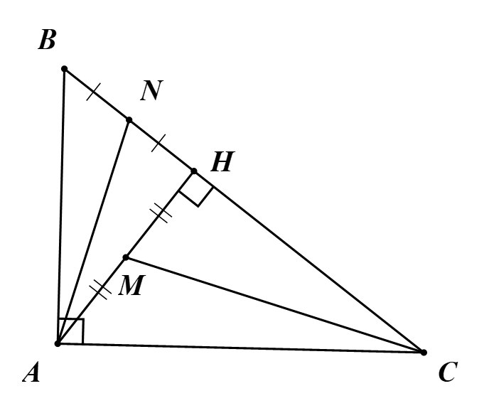 Do đó (g.g). (ảnh 1)