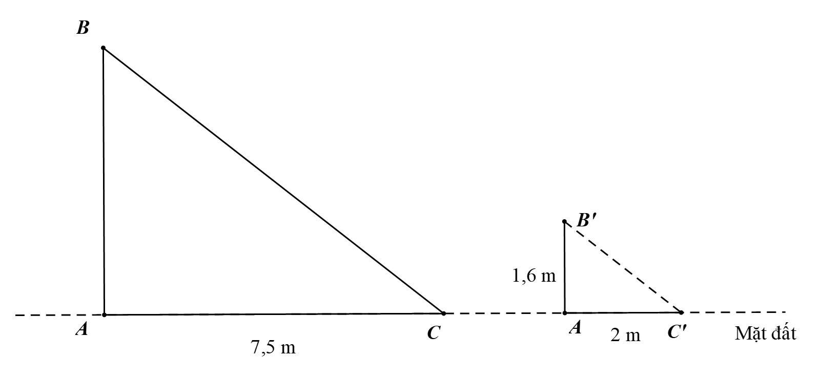 Đ&aacute;p &aacute;n: 84. (ảnh 1)