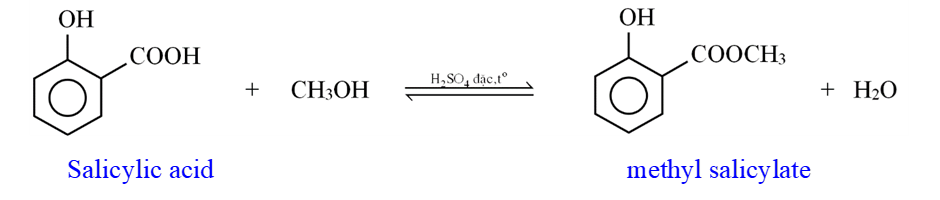 Cho salicylic acid (hay 2 – hydroxylbenzoic acid) phản ứng với methyl alcohol có mặt sulfuric acid làm xúc tác, thu được methyl salicylate (C8H8O3) dùng làm chất giảm đau (có trong miếng dán  (ảnh 2)