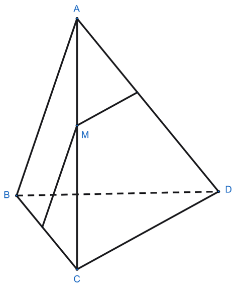 Cho tứ diện ABCD. Điểm M thuộc cạnh AC. Mặt phẳng (P) đi qua M và song song với AB, CD. (ảnh 1)