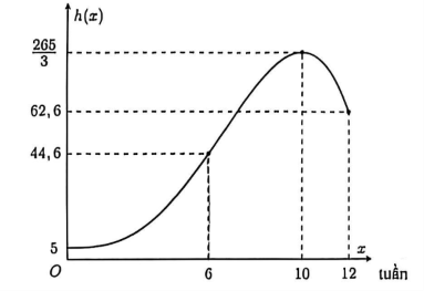 a) Sai. Nh&igrave;n v&agrave;o đồ thị, tại \(x = 6\) th (ảnh 1)