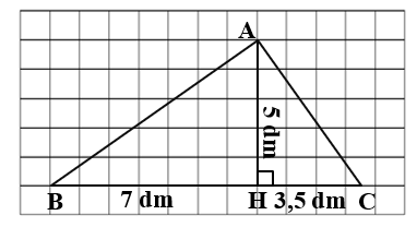 Đúng ghi Đ, sai ghi S.  (ảnh 2)