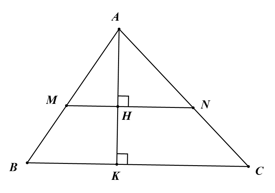Vậy \({S_{ABC}} = 50\) cm2. (ảnh 1)
