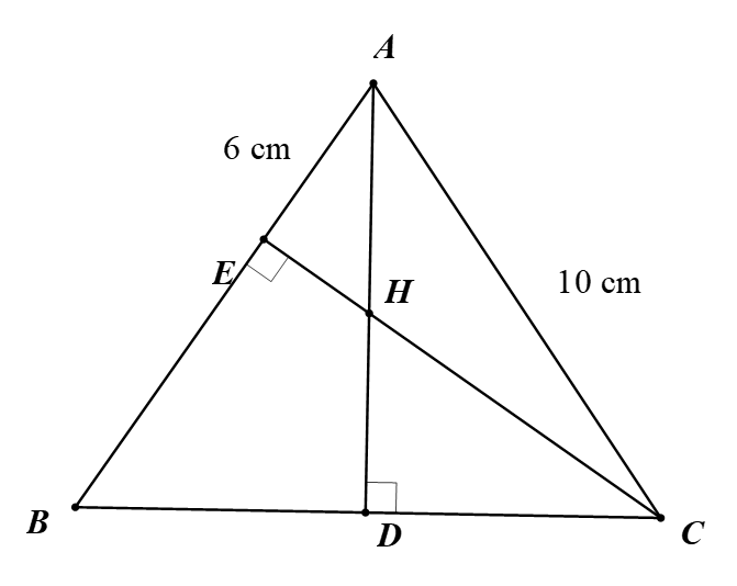 Đ&aacute;p &aacute;n: 5. (ảnh 1)