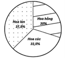 Biểu đồ dưới đây biểu thị tỉ lệ số lượng bó hoa bán trong một ngày của cửa hàng “HẠNH PHÚC”. Tính số bó hoa lan bán được trong ngày đó, biết rằng số bó hoa cúc bán được là 26. (ảnh 1)