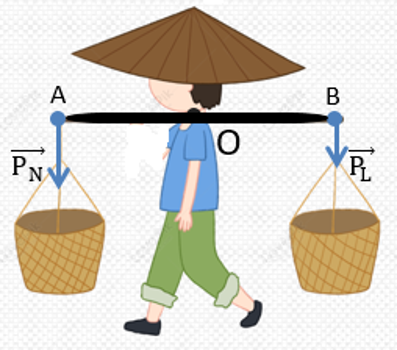 Một người gánh một thúng lúa có trọng lượng PL = 65 N và một thúng ngô. Đòn gánh nhẹ và dài 1,2 m, hai thúng đặt ở hai đầu mút của đòn gánh như hình vẽ. Biết đầu treo thúng lúa cách vai người (ảnh 1)