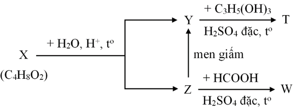 Cho sơ đồ phản ứng sau:

Biết rằng X, Y, Z, T, W là các hợp chất hữu cơ khác nhau; T chỉ chứa một loại nhóm chức.
Trong các phát biểu sau, phát biểu nào đúng, phát biểu nào sai? (ảnh 1)