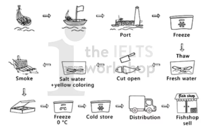 The diagram details the process of making smoked fish. Summarise the information by selecting and reporting the main features. (ảnh 1)