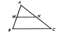 Đ&aacute;p &aacute;n: A&igrave; \(MN{\rm{//}}BC\) v&agrave; điểm \(M,N\) nằm c&ugrave;ng thứ tự ph&iacute;a tr&ecirc;n đoạn \(BC\) n&ecirc;n hai vectơ \(\overrightarrow {MN} \) v&agrave; \(\overrightarrow {BC} \) c&ugrave;ng hướng. (ảnh 1)