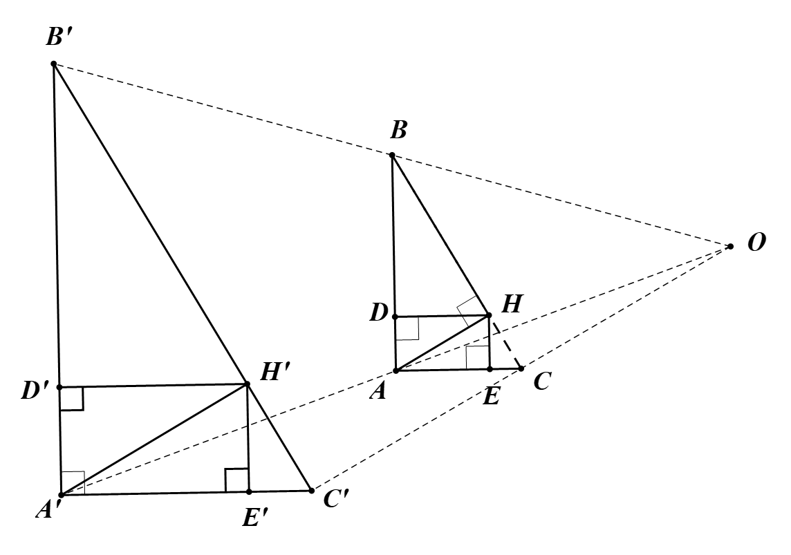 Vậy \({S_{ABC}} = 50\) cm2. (ảnh 2)