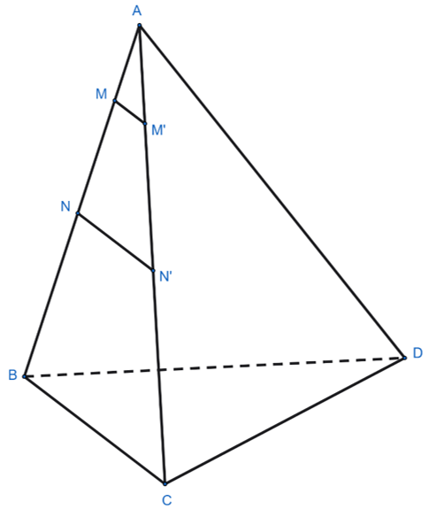 Cho hình tứ diện ABCD. Các điểm M, N thuộc cạnh AB sao cho AM = 2 cm, MN = 3 cm, NB = 4 cm. Các mặt phẳng đi qua M, N và song song với mặt phẳng (BCD) lần lượt cắt cạnh AC tại M', N'. Biết độ (ảnh 1)