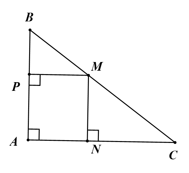 Vậy \(AM = 7,22\) cm. (ảnh 1)