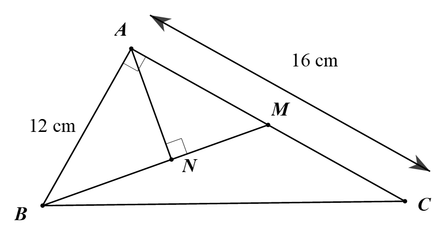 Đáp án: 10. (ảnh 1)