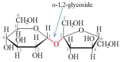 Saccharose (hay đường kính, đường mía có công thức phân tử là C12H22O11, được hình thành từ sự liên kết của một đơn vị glucose với một đơn vị fructose. Thuỷ phân saccharose bằng dung dịch H2S (ảnh 1)