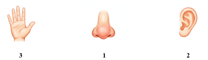 Listen and number. (ảnh 2)