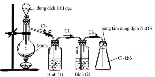 Cho hình vẽ mô tả thí nghiệm điều chế Clo từ MnO2 và dung dịch HCl:
(ảnh 1)