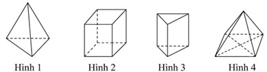 Hình nào dưới đây là hình lăng trụ đứng tứ giác? (ảnh 1)