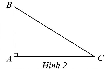 Cho tam gi&aacute;c \(ABC\) vu&ocirc;ng tại \(A\) (H&igrave;nh 2). Khẳng định n&agrave;o sau đ&acirc;y đ&uacute;ng? (ảnh 1)