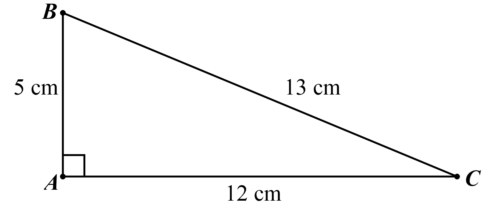 X&aacute;c suất của biến cố A l&agrave;: \(P\left( A \right) = \frac{3}{4} = 0,75\). (ảnh 1)