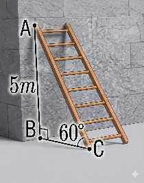 Đ&aacute;p &aacute;n đ&uacute;ng l&agrave;: C (ảnh 1)