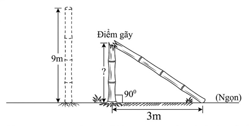 Vậy khoảng c&aacute;ch điểm g&atilde;y đến mặt đất l&agrave; \(4\) m. (ảnh 1)