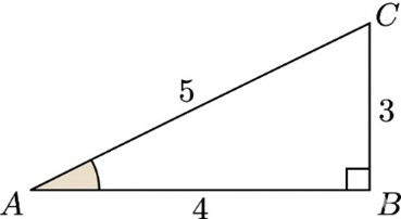 Đ&aacute;p &aacute;n đ&uacute;ng l&agrave;: B (ảnh 1)