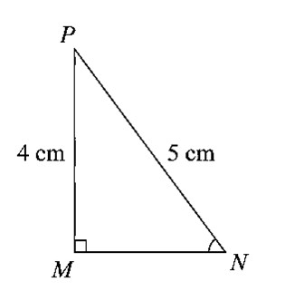 Cho tam gi&aacute;c \(MNP\) vu&ocirc;ng tại \(M,\) c&oacute; \(PN = 5\) cm v&agrave; \(MP = 4\) cm (như h&igrave;nh vẽ dưới đ&acirc;y). Khi đ&oacute; \(\sin N\) bằng (ảnh 1)