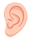 Listen and choose the correct picture. (ảnh 1)