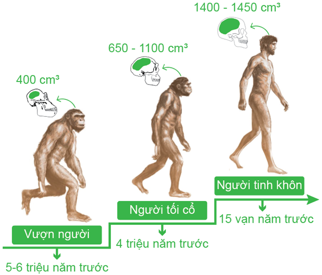 Quan sát hình ảnh sau đây:  (ảnh 1)