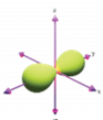 Hình nào sau đây biểu diễn orbital s? (ảnh 2)