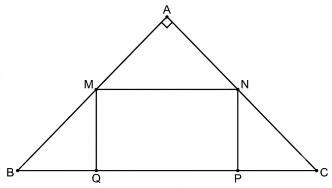 Diện tích nền nhà lớn nhất là \(50\) m2. (ảnh 1)