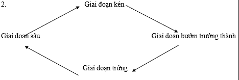 Thế nào là cảm ứng ở sinh vật? (ảnh 1)