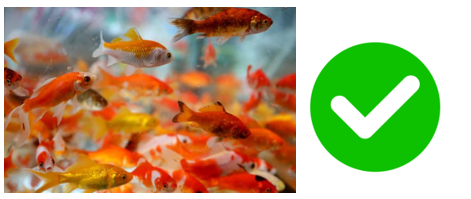 Listen and choose the correct answer. (ảnh 1)