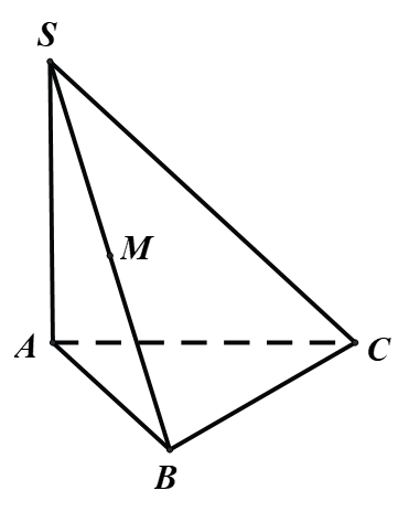 Cho hình chóp \(S.ABC\)có đáy là tam giác vuông cân tại \(B\), \(AB = a,SA \bot \left( {ABC} \right),SA = a\sqrt 3 \). Mỗi phát biểu sau đúng hay sai?
Đúng Sai
Góc nhị diện \(\left[ {B,SA,C} (ảnh 1)