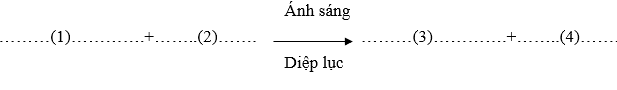 Hoàn thành phương trình quang hợp dạng chữ: (ảnh 1)