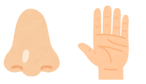 Listen and choose the correct answer. (ảnh 2)