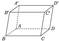 tarrow {A'D'} \). Chọn D. (ảnh 1)